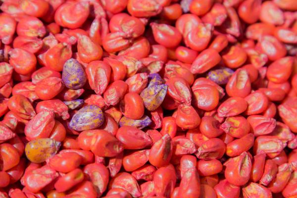 Neonicotinoid health risks: widespread&hellip;