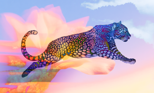 What to watch for at the U.N.’s COP30