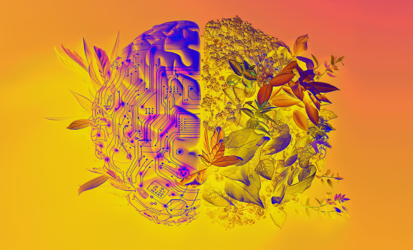 5 interview questions IBM’s CSO asks&hellip;