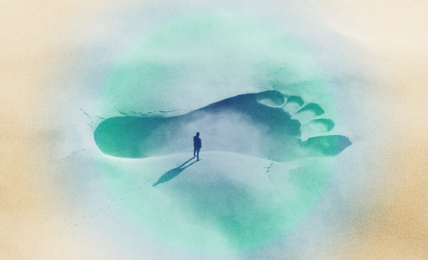 photo of Study: Volatile company carbon footprints skew Scope 3 estimates image