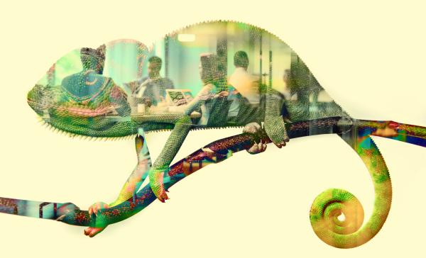 Corporate chameleons: The evolution of…