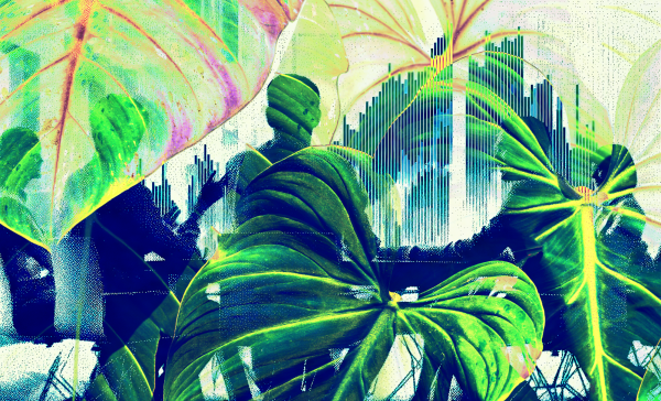 Why corporate investors should look to&hellip;