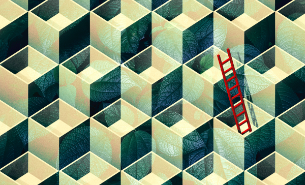 Siemens’ sustainability head on…