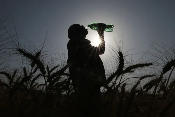 Trump’s anti-green agenda could lead…