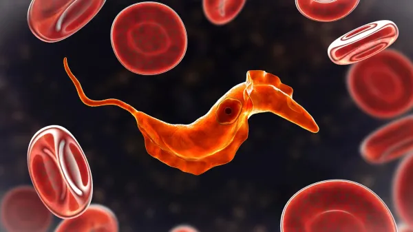Scientists discover ancient&hellip;