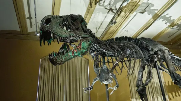 Blood vessels found in T. rex bones are&hellip;