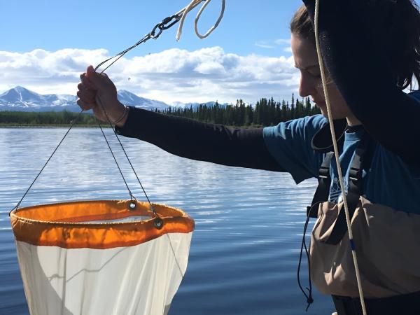 photo of Understanding how human activity impacts zooplankton is essential for managing and protecting lakewater image