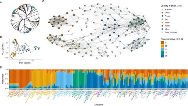 photo of Integrating non-additive GWAS with historical dissemination to illuminate nut traits and blooming time in almonds image