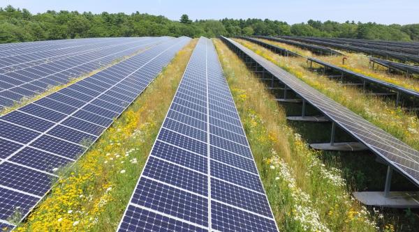 Oh, So Trump Loves Solar Power After&hellip;