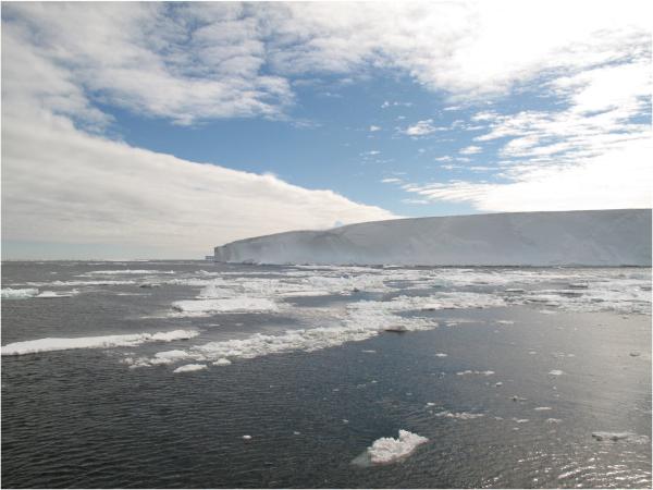 photo of Vitamin B12 adaptability in Antarctic algae has implications for climate change, life in the Southern Ocean image
