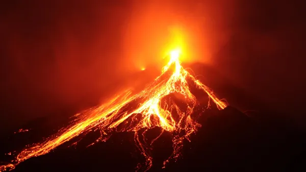 photo of A volcano erased an island’s plants. Their DNA revealed how life starts over image