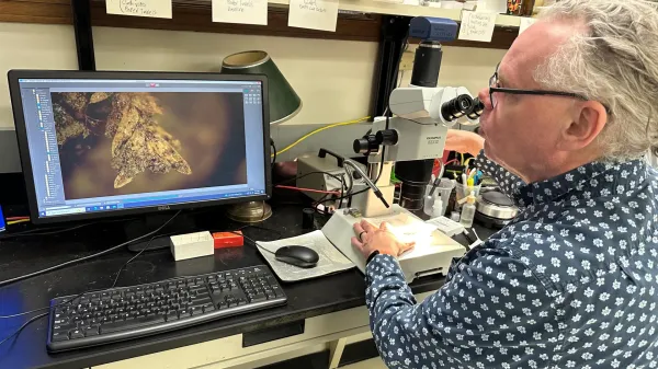 photo of Tiny clump of moss helped solve a shocking cemetery crime image