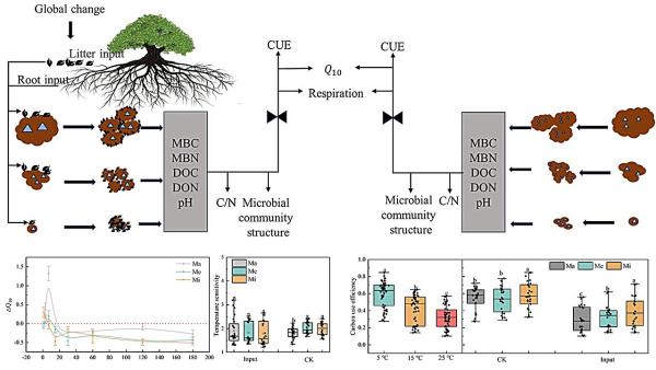 photo of Effects of organic matter input and temperature change on soil aggregate-associated respiration and microbial carbon use image
