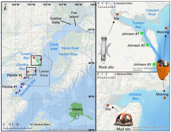 photo of Q&A: 'We lost instruments chewed or crunched by bears and sea otters'—how a researcher listens for elusive belugas image