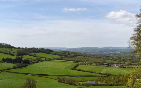 photo of UK to Plant 20 Million Trees in First National Forest in 30 Years image