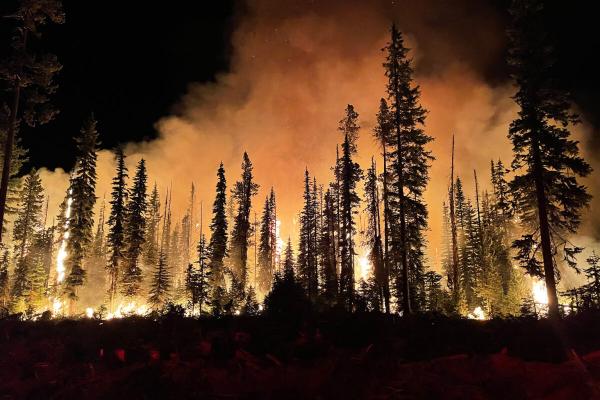 Wildfire smoke could kill 71,000 people…