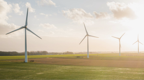 Someone Is Losing The War On Renewable…