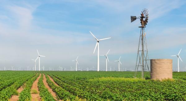 Texans Love Their Wind Power, Even If…