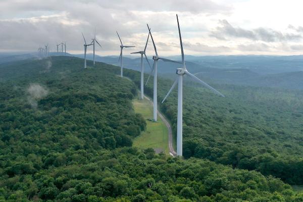 Democratic States Sue Trump for Blocking New Wind Energy Projects