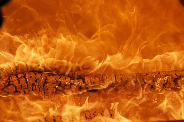 photo of Texas fires: Burned rangeland can recover quickly, but cattle ranchers face struggles ahead to find and feed their herds image