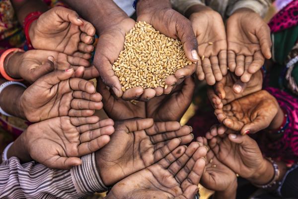 Global Hunger Fell Overall in 2024, but…