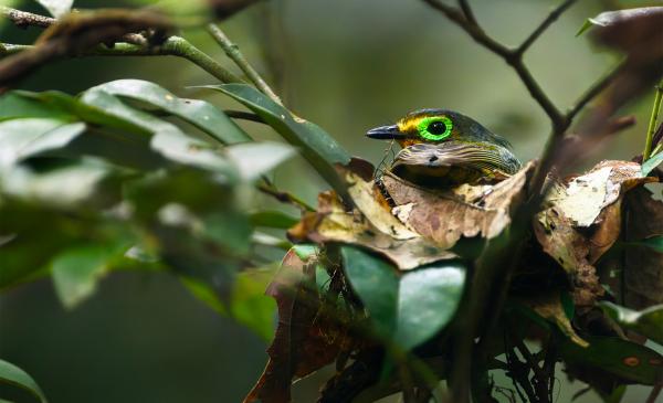 ‘Rare animals, photography and&hellip;
