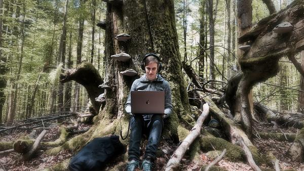 Researcher who listens to forests wins 2026 Pritzker&hellip;
